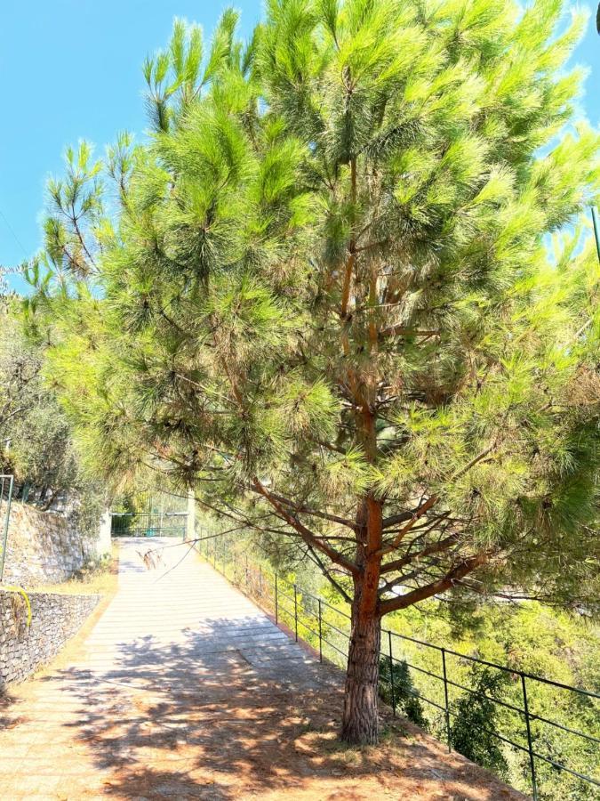 La Riviera Bed & Breakfast Bed & Breakfast Rapallo Exterior foto