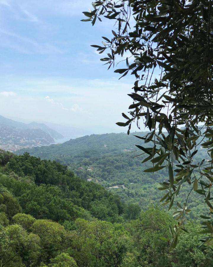 La Riviera Bed & Breakfast Bed & Breakfast Rapallo Exterior foto