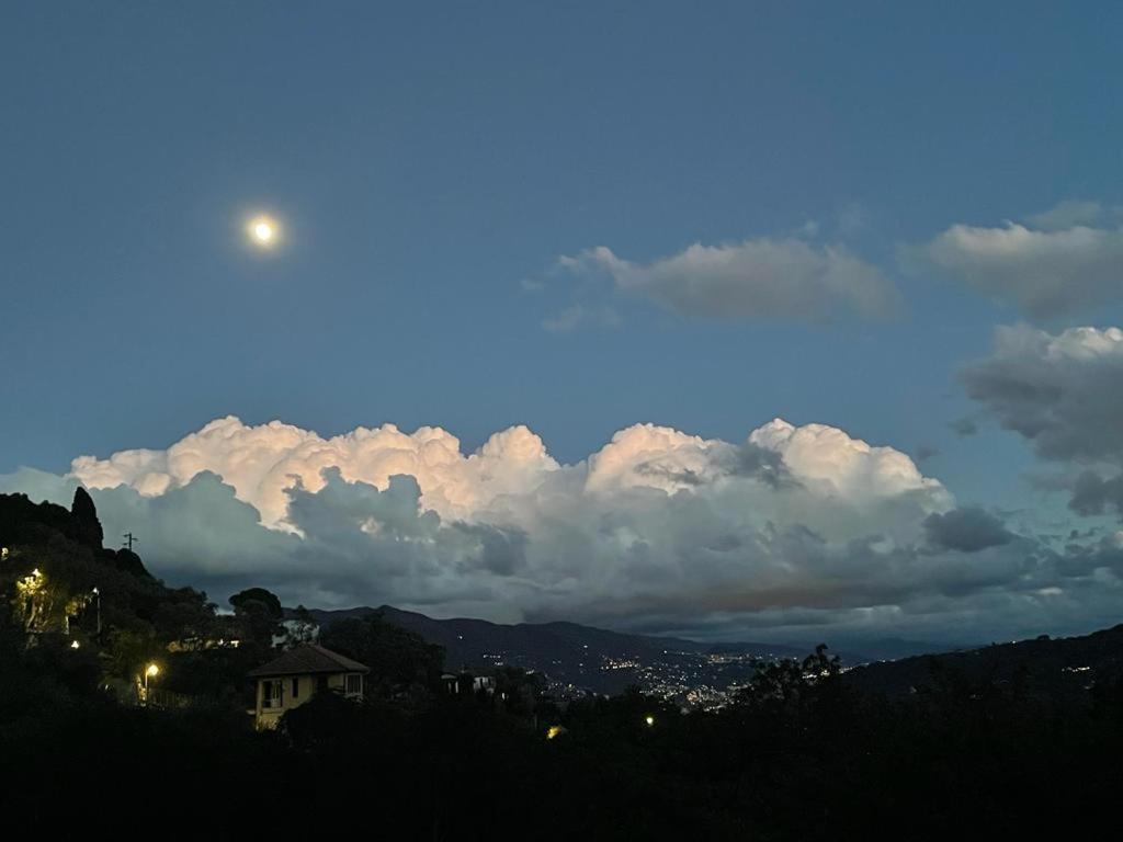 La Riviera Bed & Breakfast Bed & Breakfast Rapallo Exterior foto