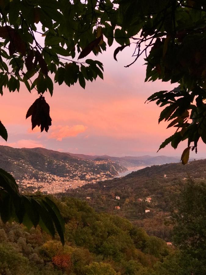 La Riviera Bed & Breakfast Bed & Breakfast Rapallo Exterior foto
