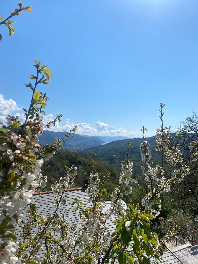 La Riviera Bed & Breakfast Bed & Breakfast Rapallo Exterior foto